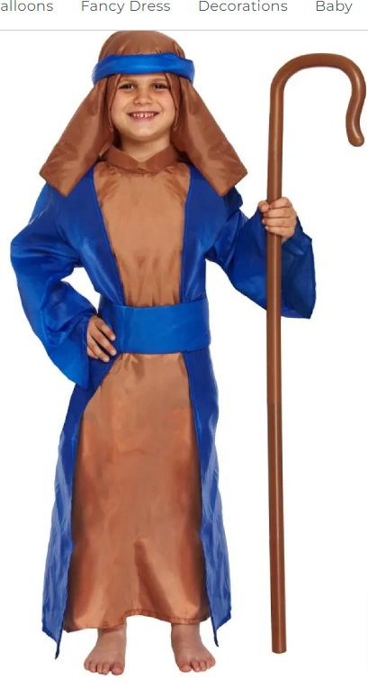 Blue Joseph - Childs Costume