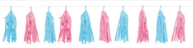 Blue & Pink Gender Reveal Foil Tassel Garland - 1.5m