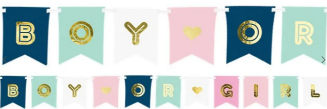 Boy Or Girl Banner - 1.75m