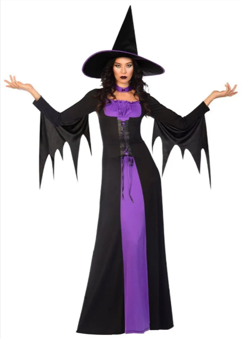 Classic Witch - Adult Costume