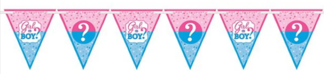 Gender Reveal Paper Flag Banner - 4.5m