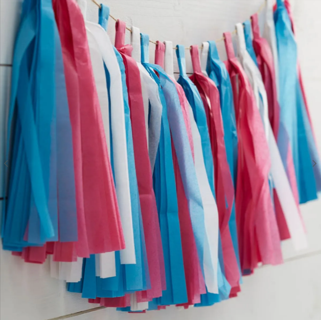 Gender Reveal Paper Tassel Garland - 2.5m