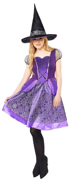 Purple Witch - Adult Costume