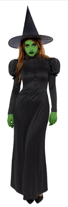 Wicked Witch - Womens Costume