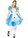 Alice in Wonderland - Adult Costume